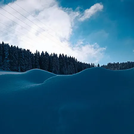 Brentenholz