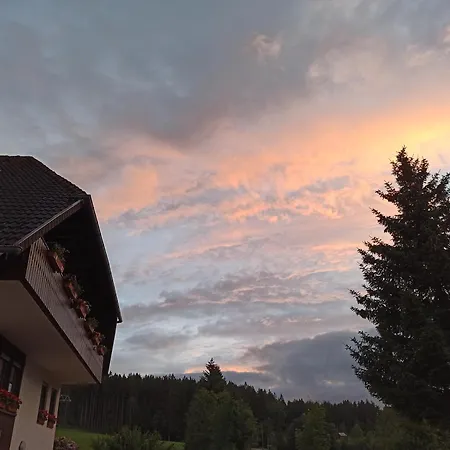 Brentenholz 公寓 黑林山区圣格奥尔根